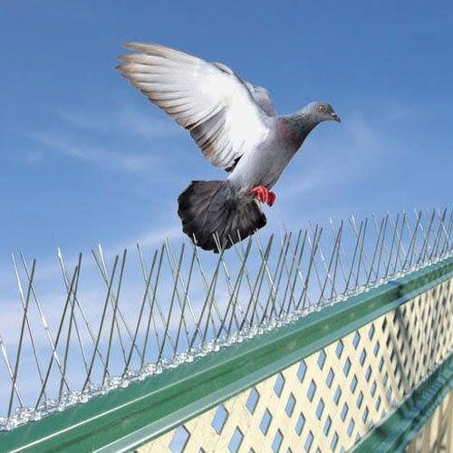 تنظيف الشقق